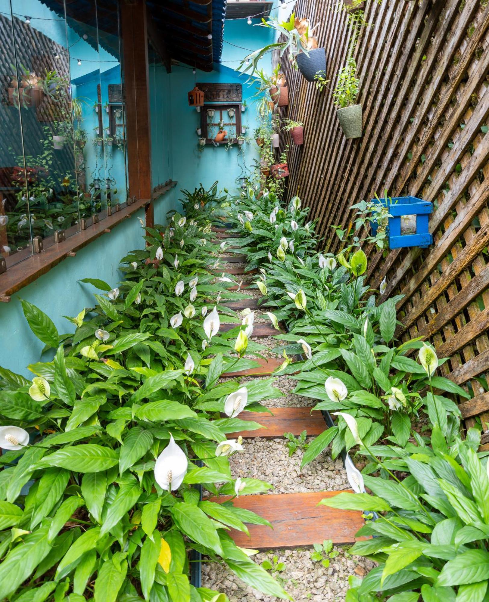 Pousada Telhado Azul Vila do Abraao Exterior photo